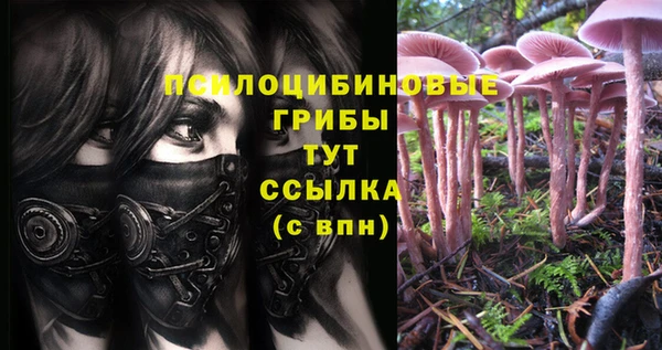 молекула духа Абдулино