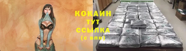ECSTASY Мегион