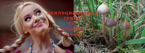 молекула духа Абдулино