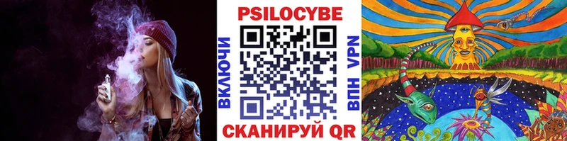 МЕГА как войти  купить наркотик  Кисловодск  Псилоцибиновые грибы прущие грибы 